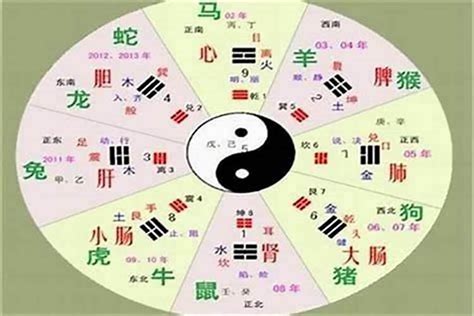 同字五行|同的五行属性是什么